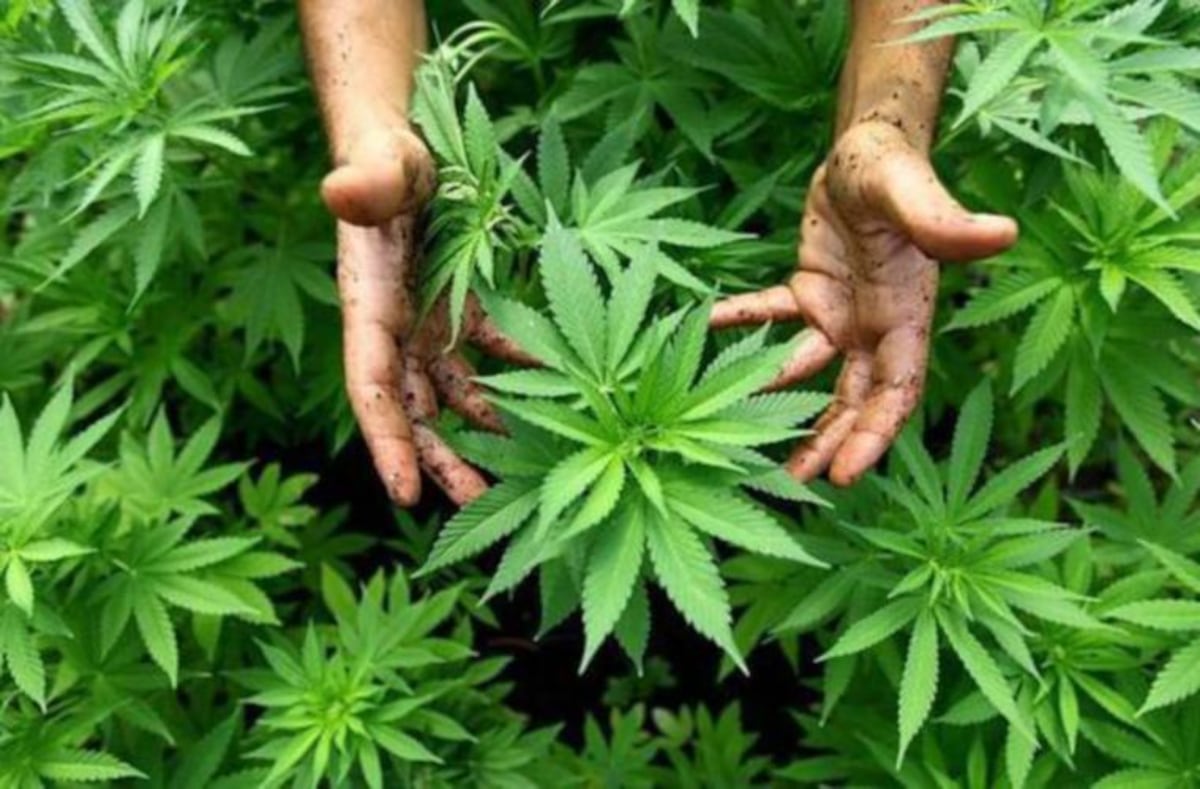 Reciben el Domingo de Resurrección con ‘Kenke’ 