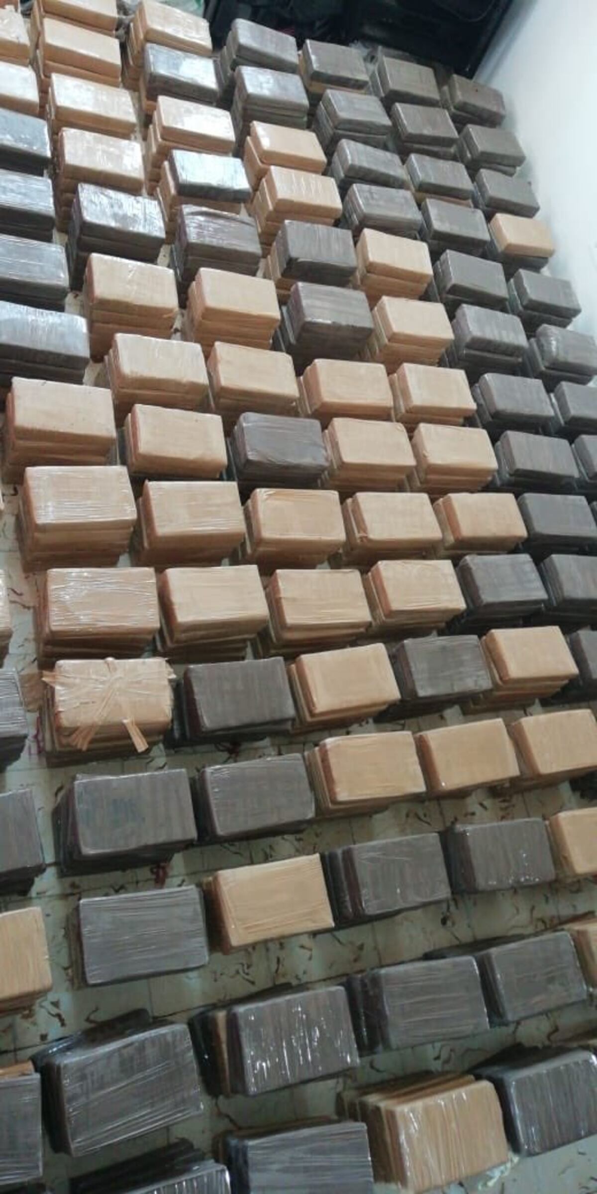 Incautan unos 600 paquetes de drogas en un baño en residencia de Chame