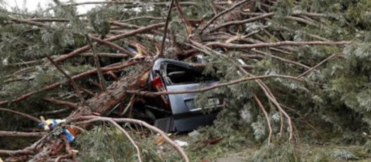 Futbolista está en estado delicado tras caerle un árbol encima