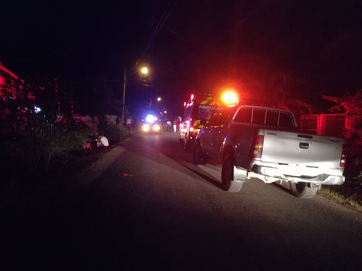 Las autoridades están detrás de ladrones de cerdos