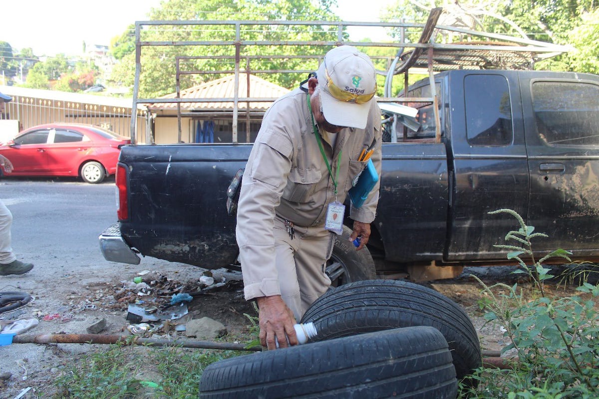 Panamá reporta 8,740 casos de dengue y 14 muertes en 2025