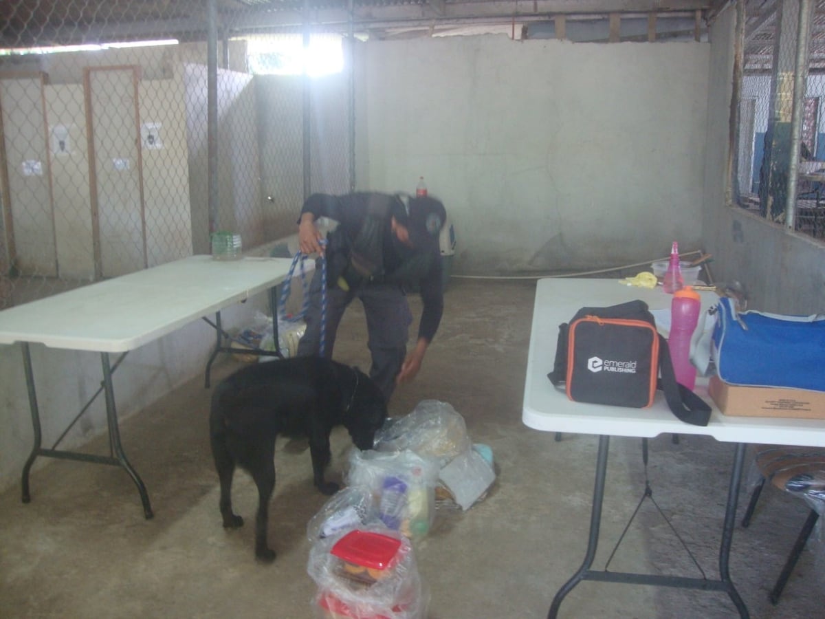 Damas querían ingresar pizzas y galletas preñadas con presunta sustancia ilícita