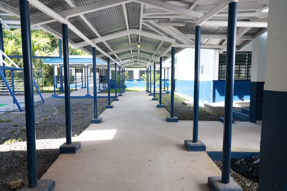 Editorial. Falta voluntad política para transformar nuestro sistema educativo