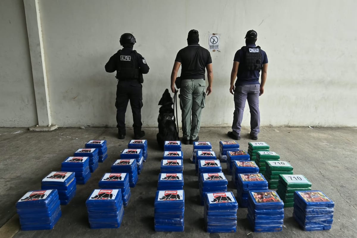 Se le acabó el viaje en Tolé: decomisan 150 paquetes de presunta droga y el conductor cae detenido