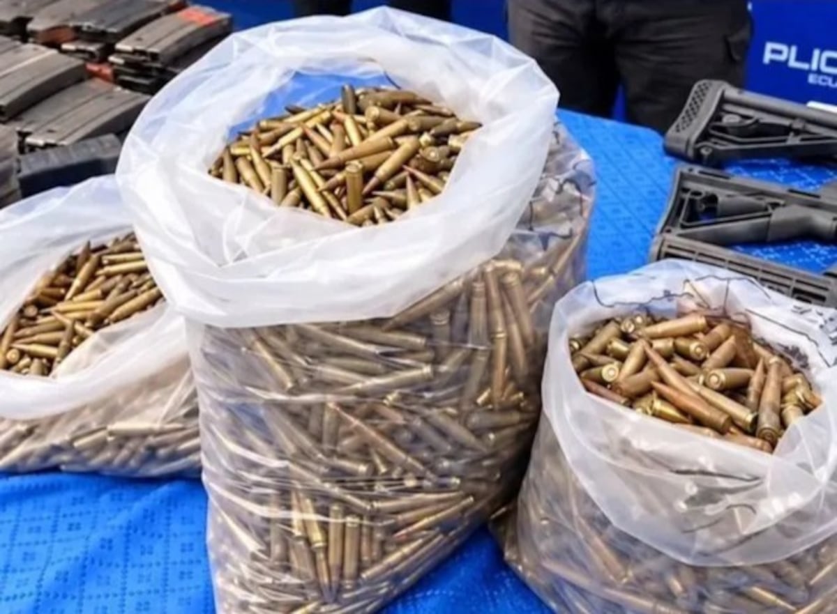 VÍDEO | ‘Los Preñados’ de Ecuador son sorprendidos en un manglar con 16 fusiles y 5 mil municiones