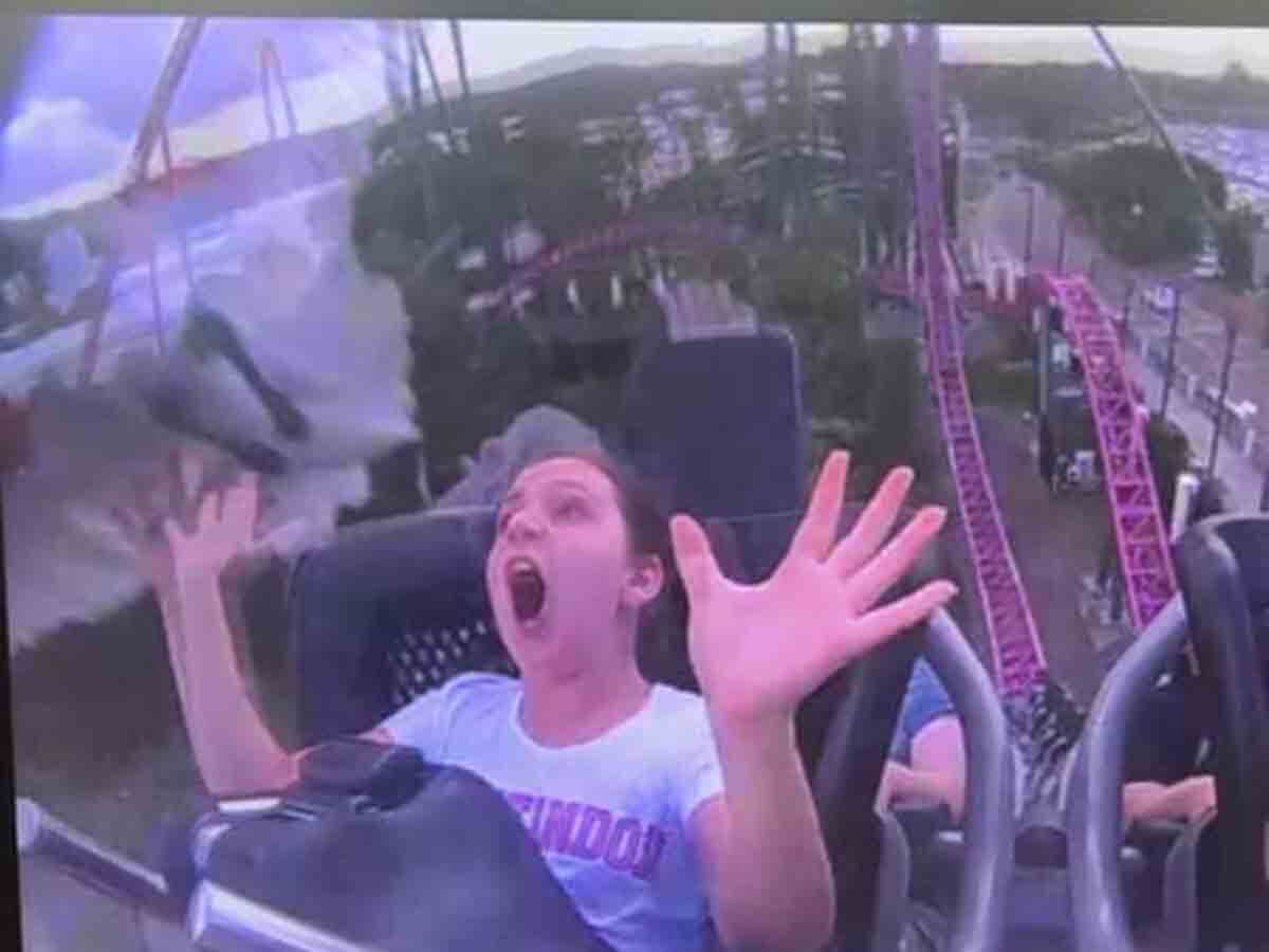 Se sube a montaña rusa y un ave choca contra su cara. Video 