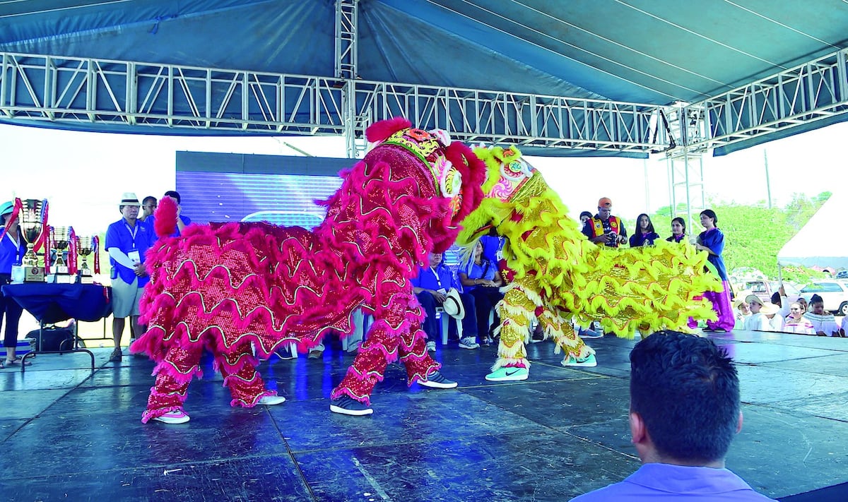 En la programación escolar del año 2020 se deberá incluir el ‘Día de la Etnia China’