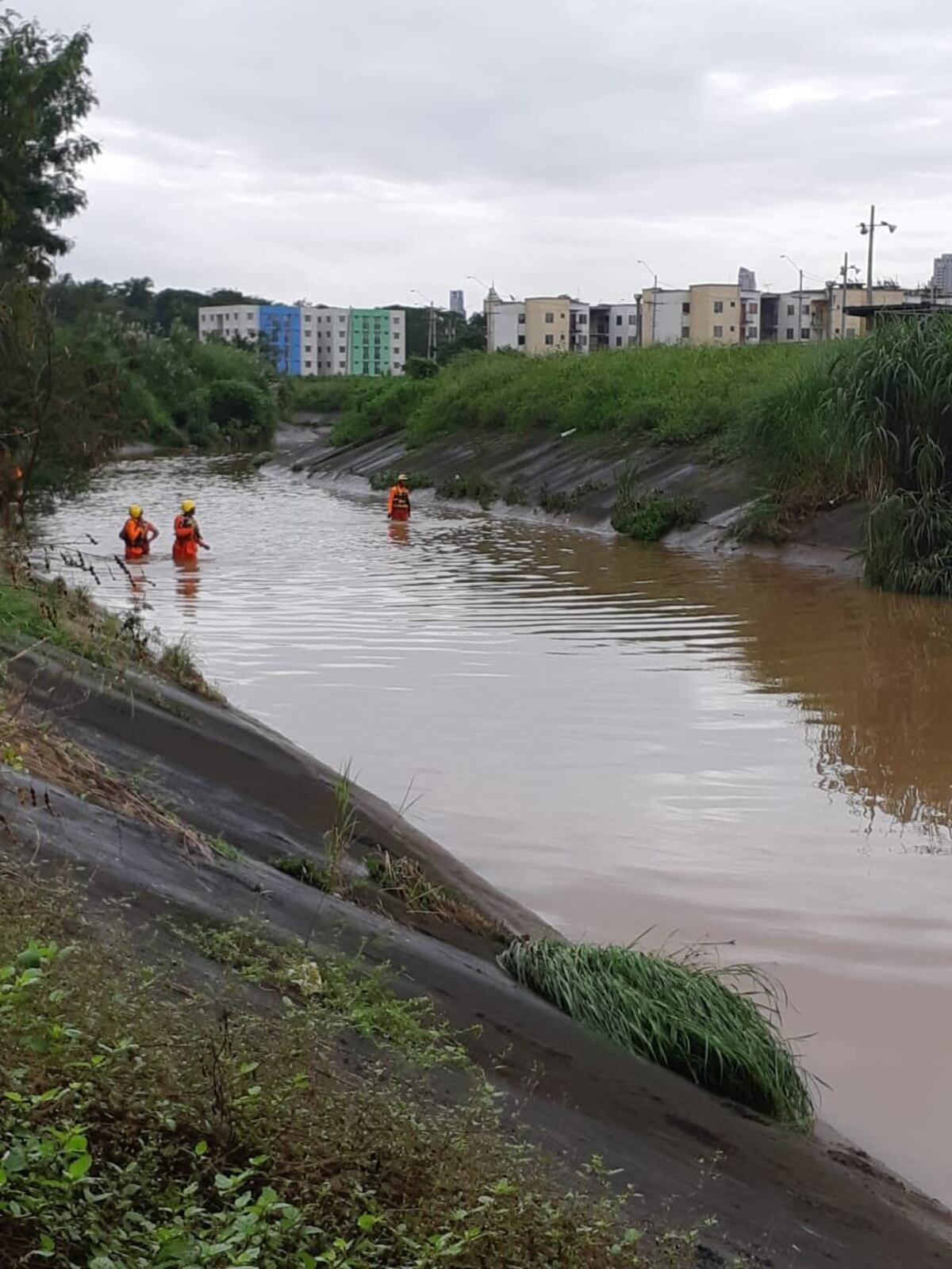 Sinaproc busca a joven de 16 años que cayó en el río Curundú