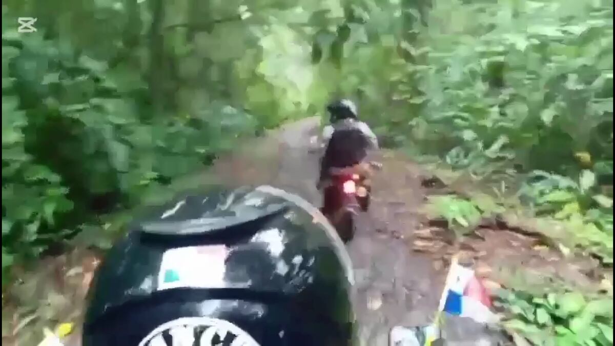 Lo agarraron en el monte: menor implicado en homicidio en Cativá