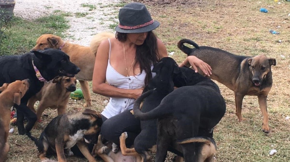 ¡Heroína! Refugió en su casa a 97 perros callejeros para salvarlos del huracán Dorian