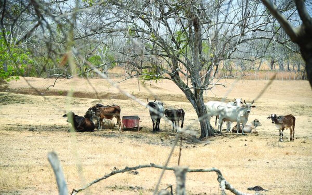 El río Canajagua se seca de forma rápida