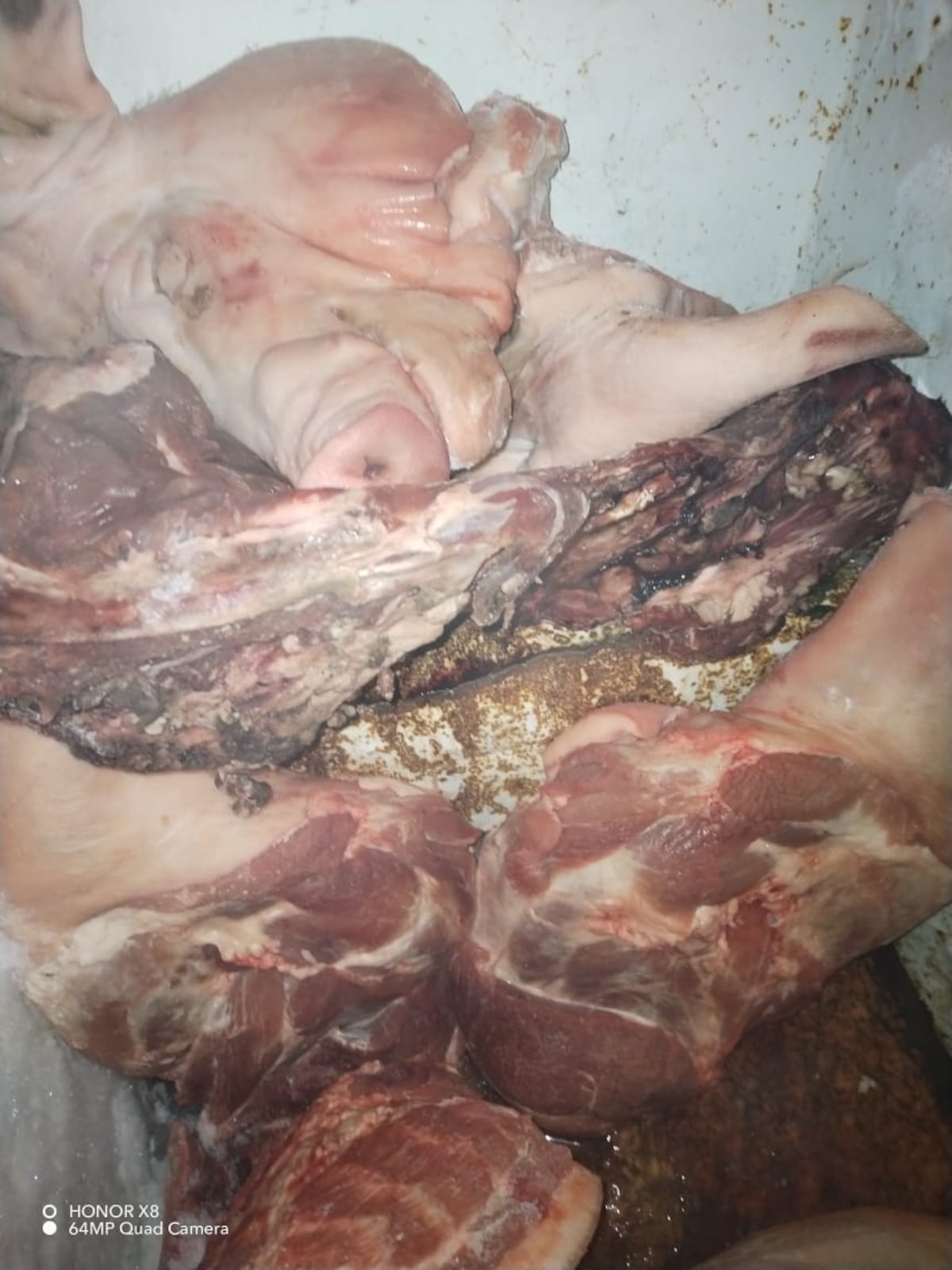 Qué horror. En el distrito de Capira vendían carne podrida que había sido hurtada