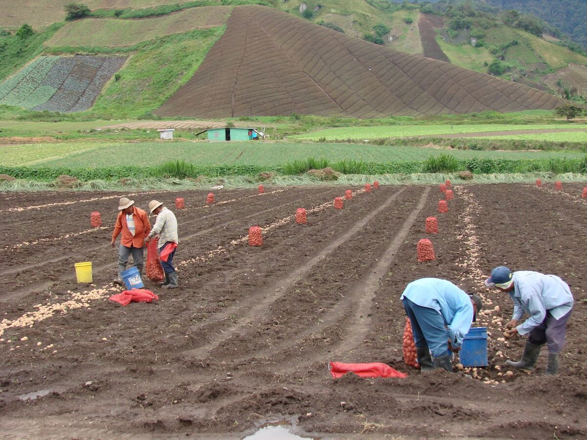 Eligen a Panamá como sede oficial del Fondo Internacional de Desarrollo Agrícola