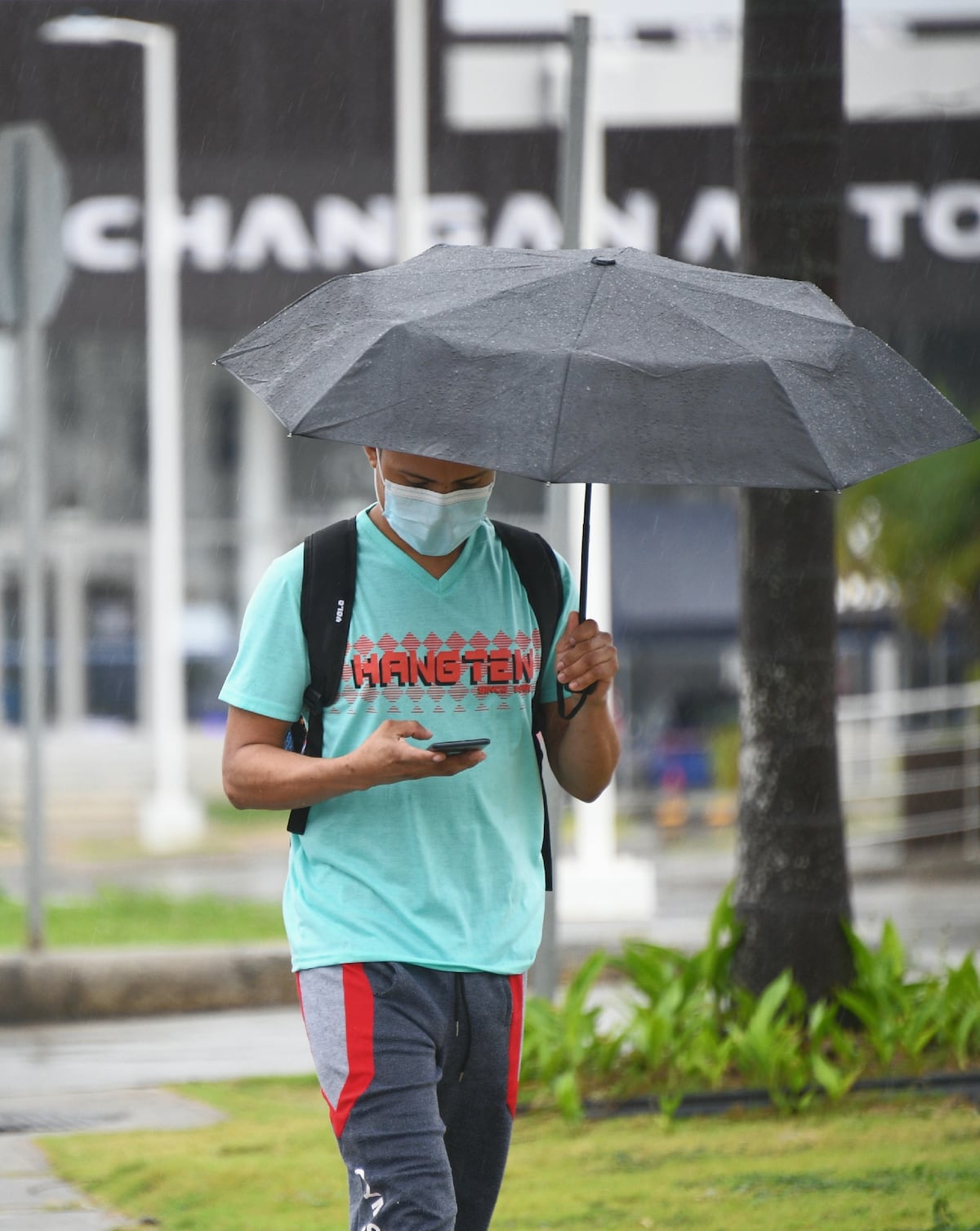 Lleve su paraguas. Las lluvias van a continuar en el inicio de diciembre