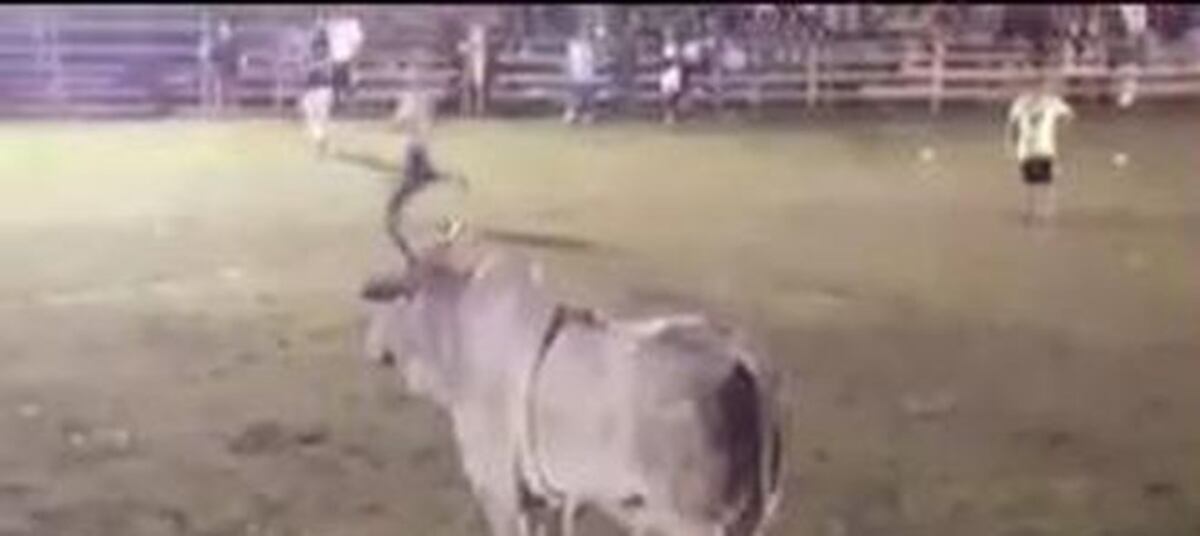 ¡FUEEERTE! Fue corneado por un toro en Bugaba. Está delicado