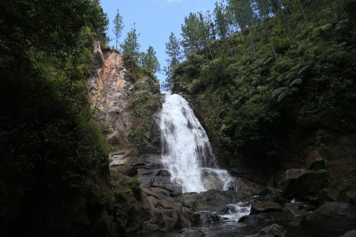 El país se alista para reabrir su sector turístico, y para calentar motores la ATP lanzó la campaña nacional ‘Panamá Por Naturaleza’