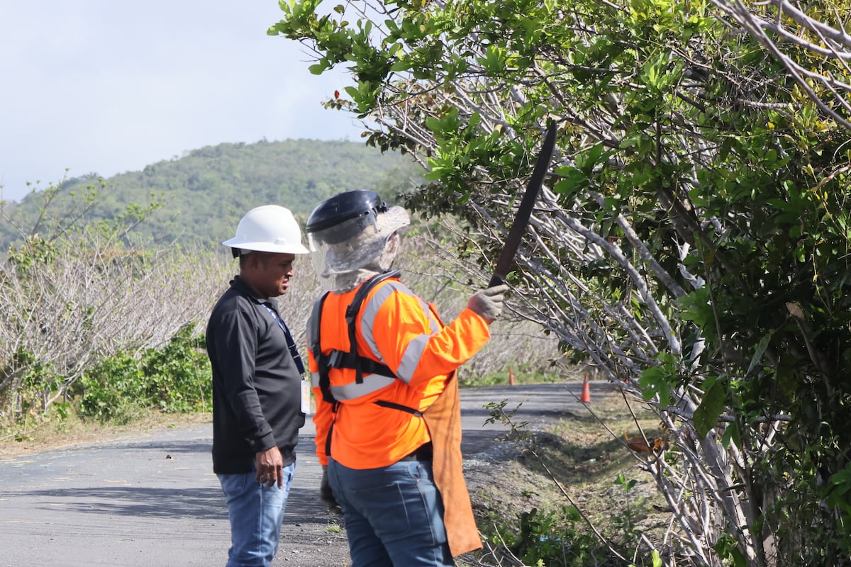 Cobre Panamá suma nuevas contrataciones con jornadas de limpieza en Donoso y La Pintada