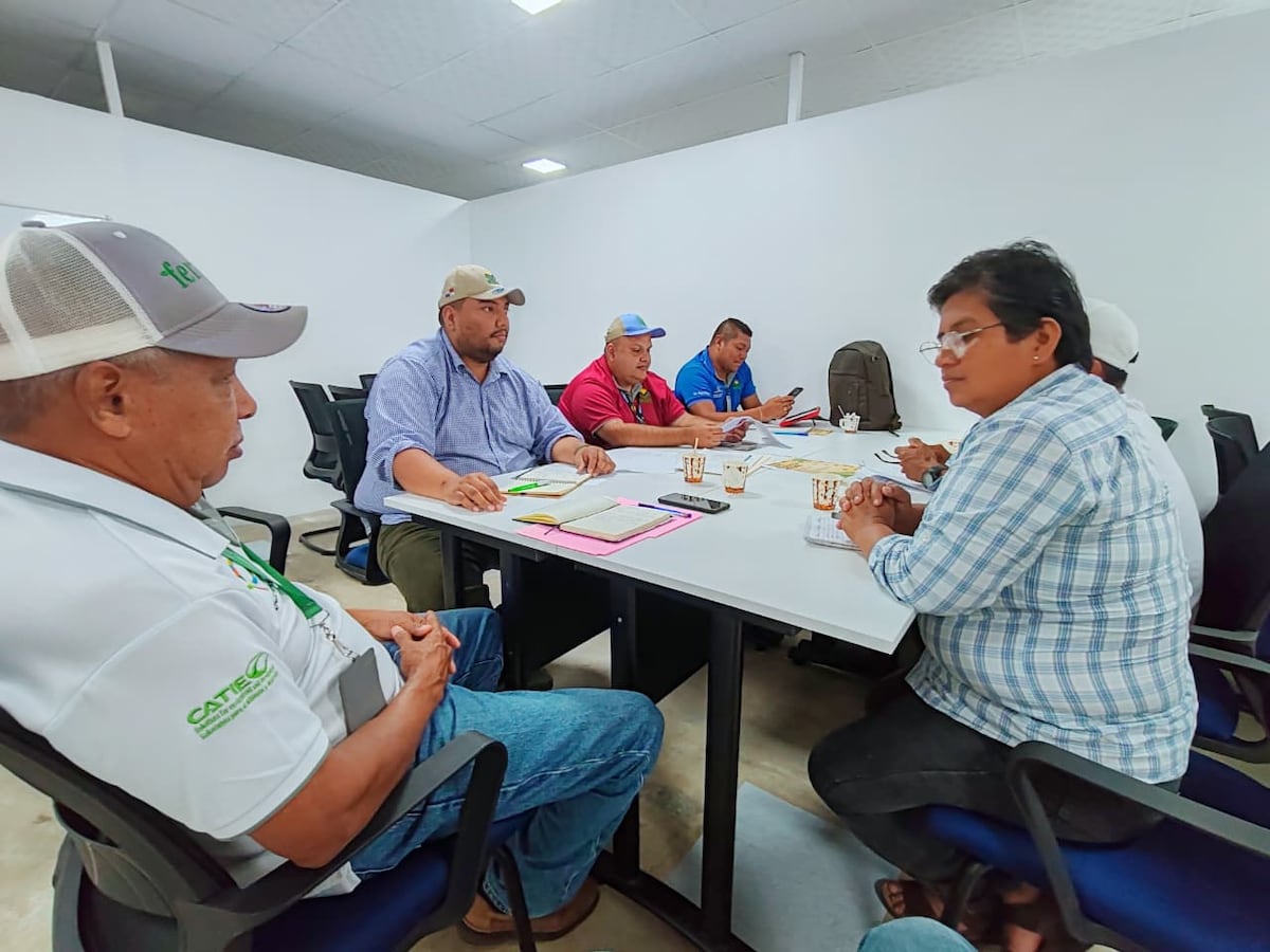 Las Gaitas se prepara para la V Zafra del Café 2026: Un tributo a la tradición cafetera panameña