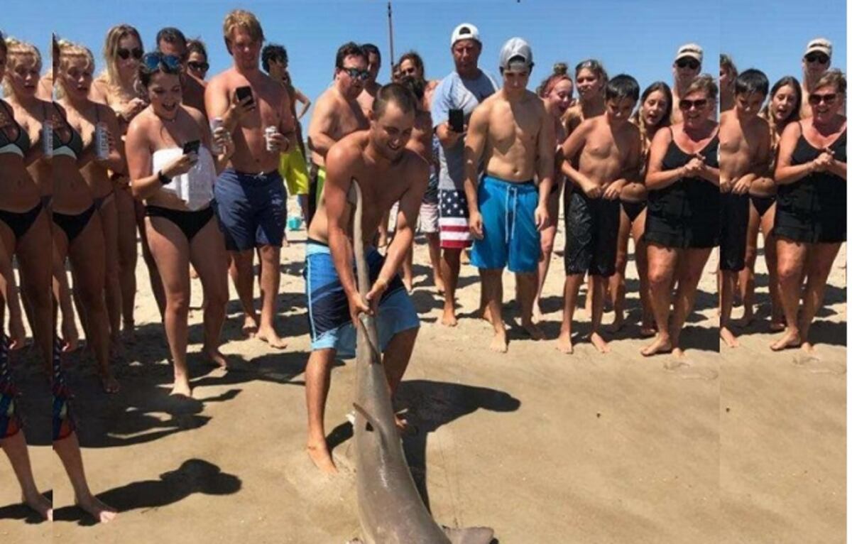 En hecho inédito 2 jóvenes fueron atacados por tiburones en playas de Nueva York
