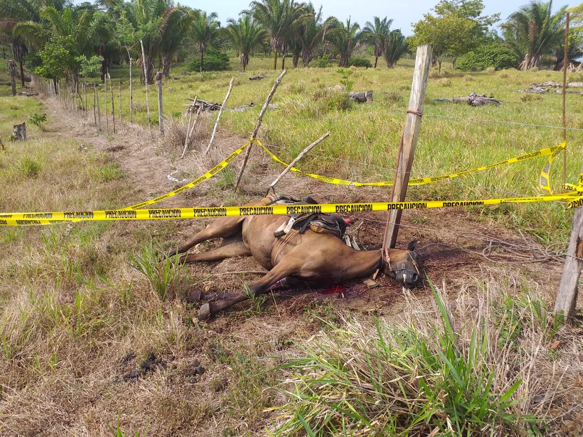Sanguinarios armados con machetes llegaron a una fiesta en Barriales de Darién y mataron a dos hombres