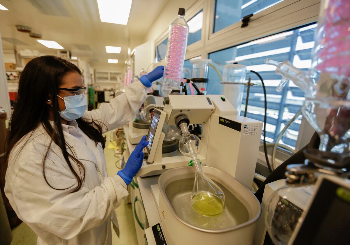 Buscan mujeres amantes de la ciencia y la innovación