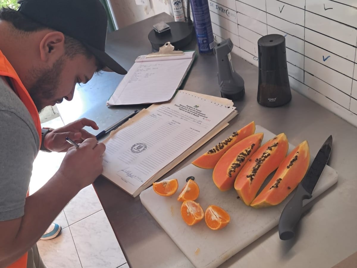 Más de 355 mil animales y un millón y medio de quintales de vegetales pasaron por los controles del MIDA en 2025