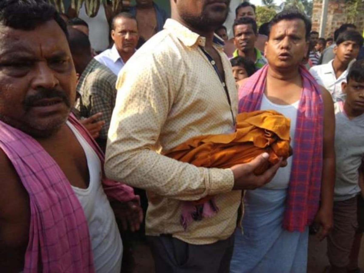 ¡Increíble! Mono se robó un bebé recién nacido y luego aparece muerto en un pozo