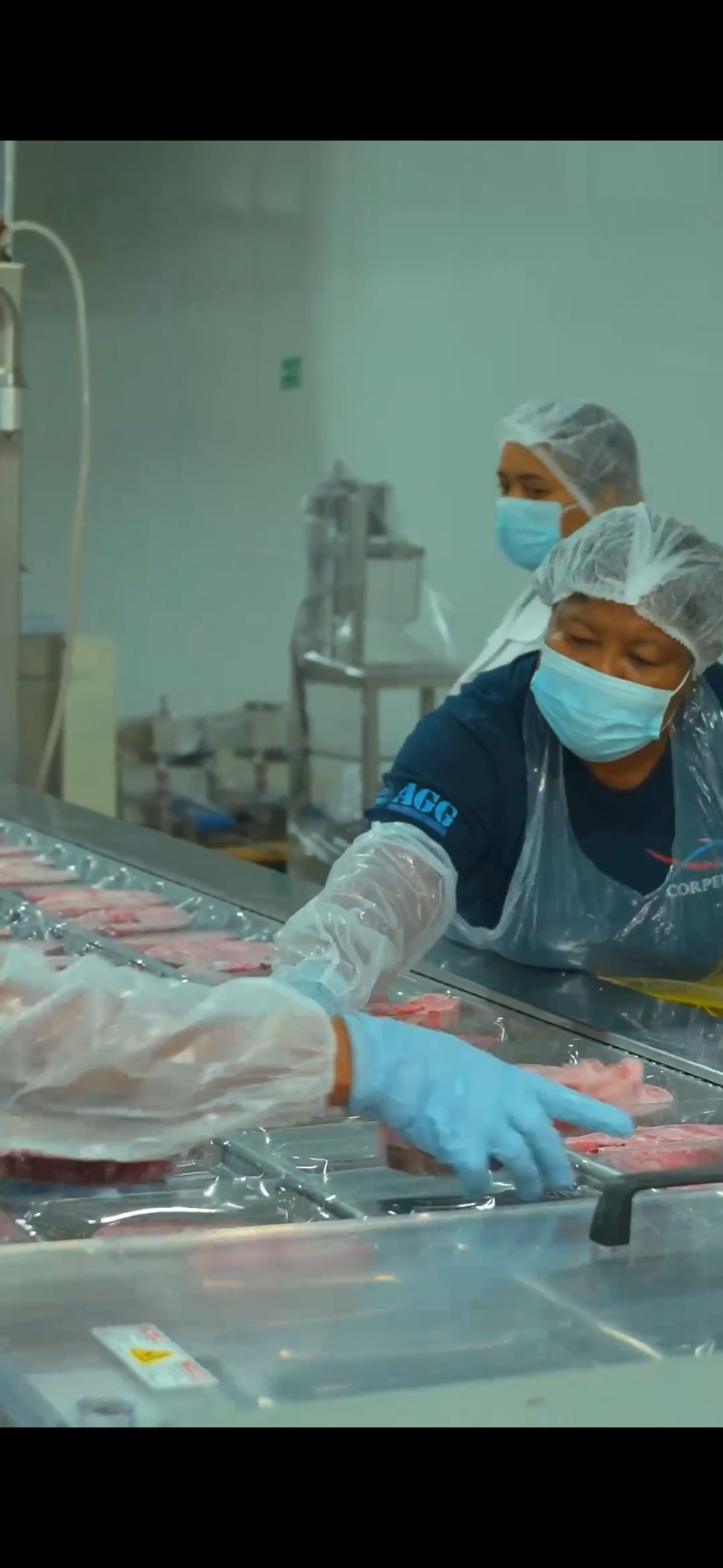 300 mil libras de pescado a la semana: así funciona la zona franca que mueve exportaciones desde Chepo
