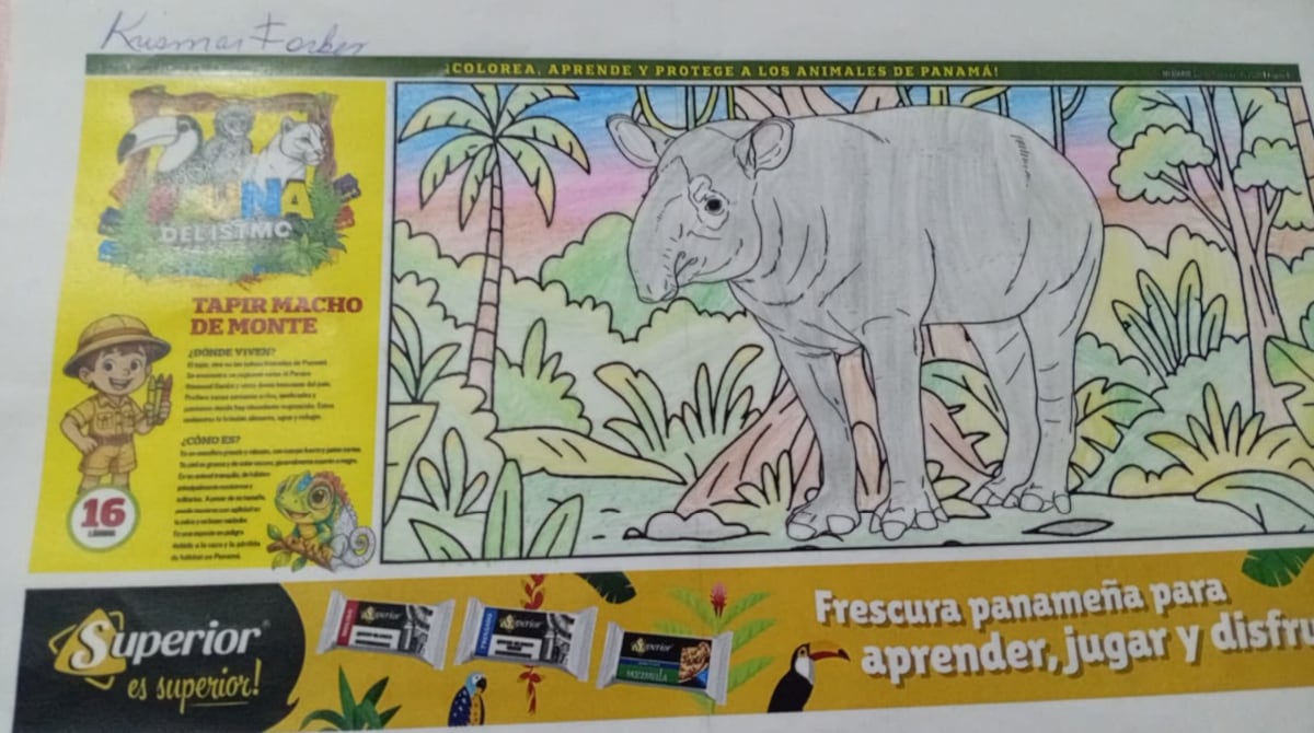 Pequeños artistas llenaron de color la naturaleza de Panamá: conoce a los ganadores del Concurso Fauna del Istmo