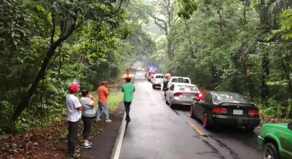 Taxi choca contra árbol. Quedan atrapados.Conductor y pasajero mueren | Video