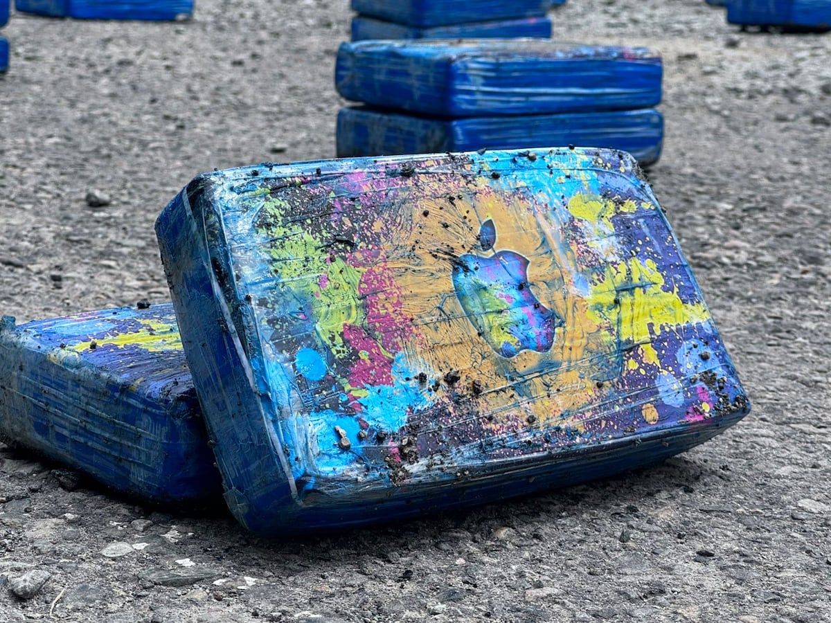 Perfilamiento en Bayano. Iba cargado de plátanos verdes, pero escondía un secreto: hallan 300 paquetes de presunta droga