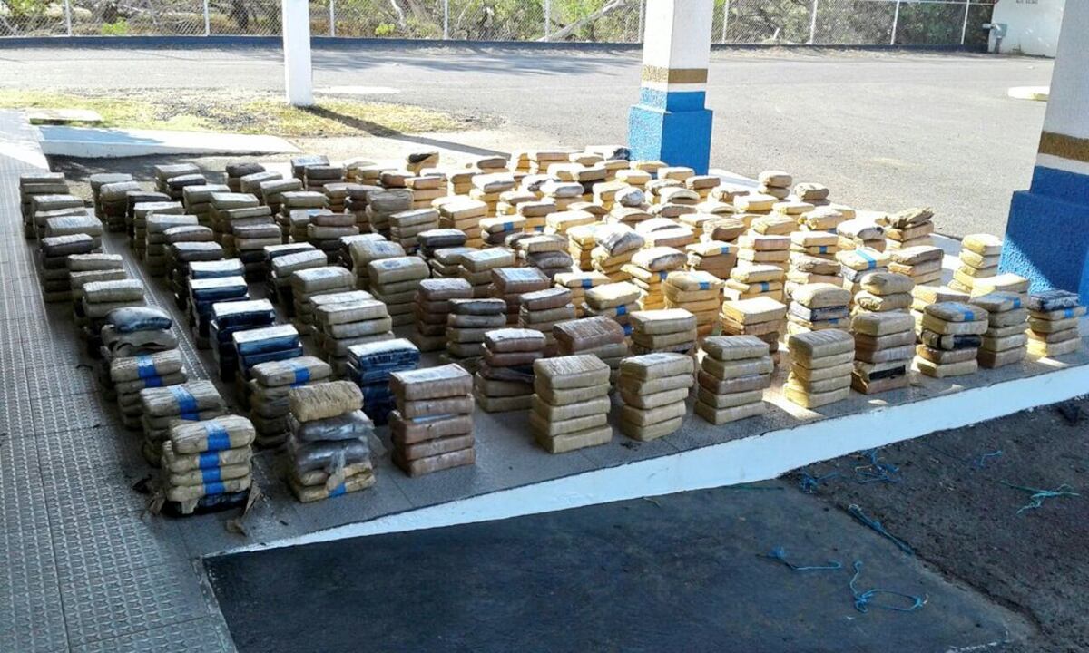 ¡GOLPE A LOS NARCOS! Decomisan 745 paquetes de droga en Los Santos