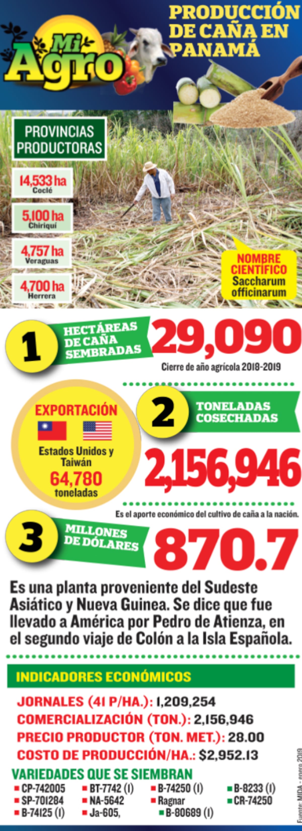 Mi Agro: 2020 fue un buen año para la caña de azúcar