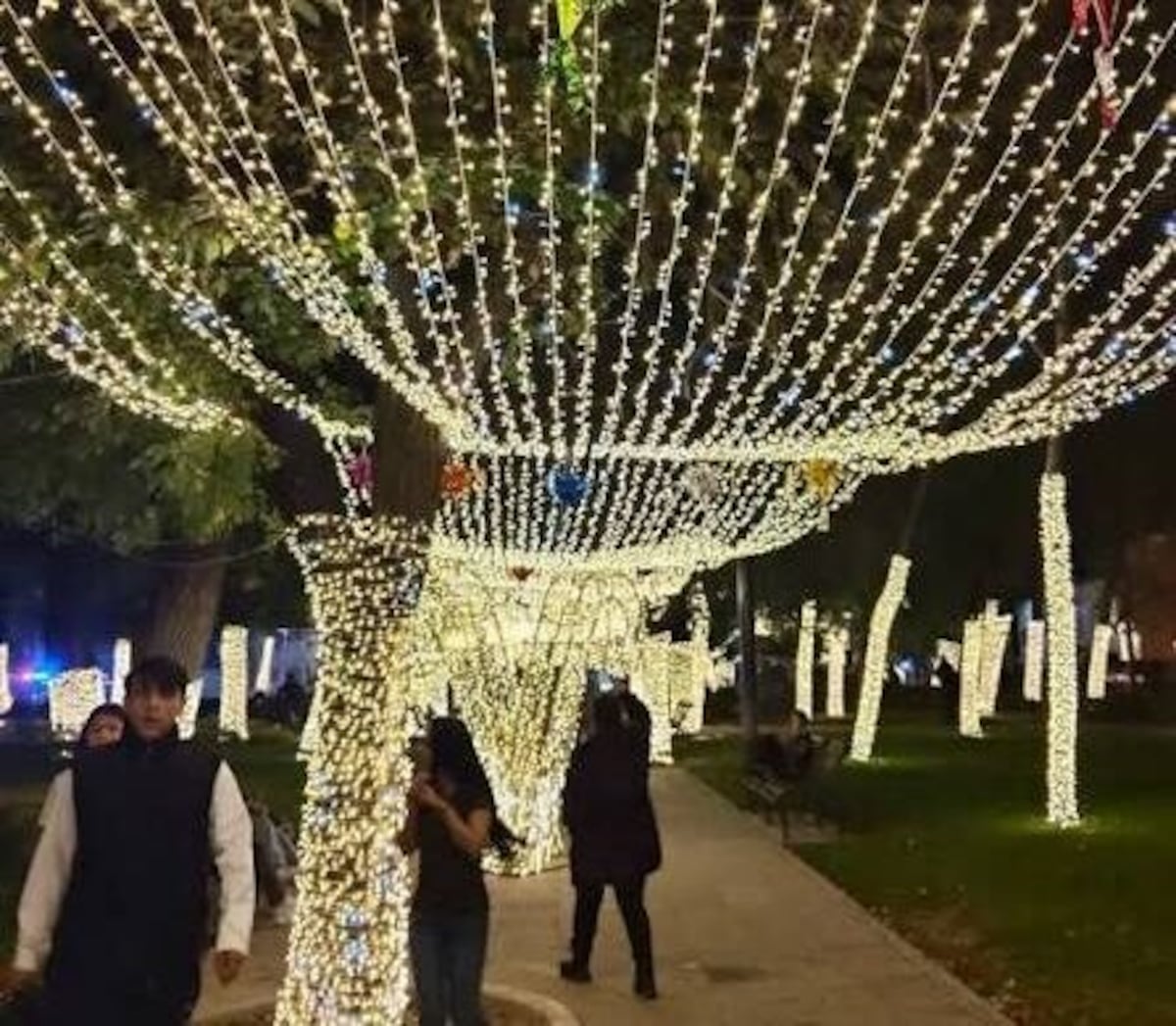 La Navidad 2026 llegará con luces a los 26 corregimientos