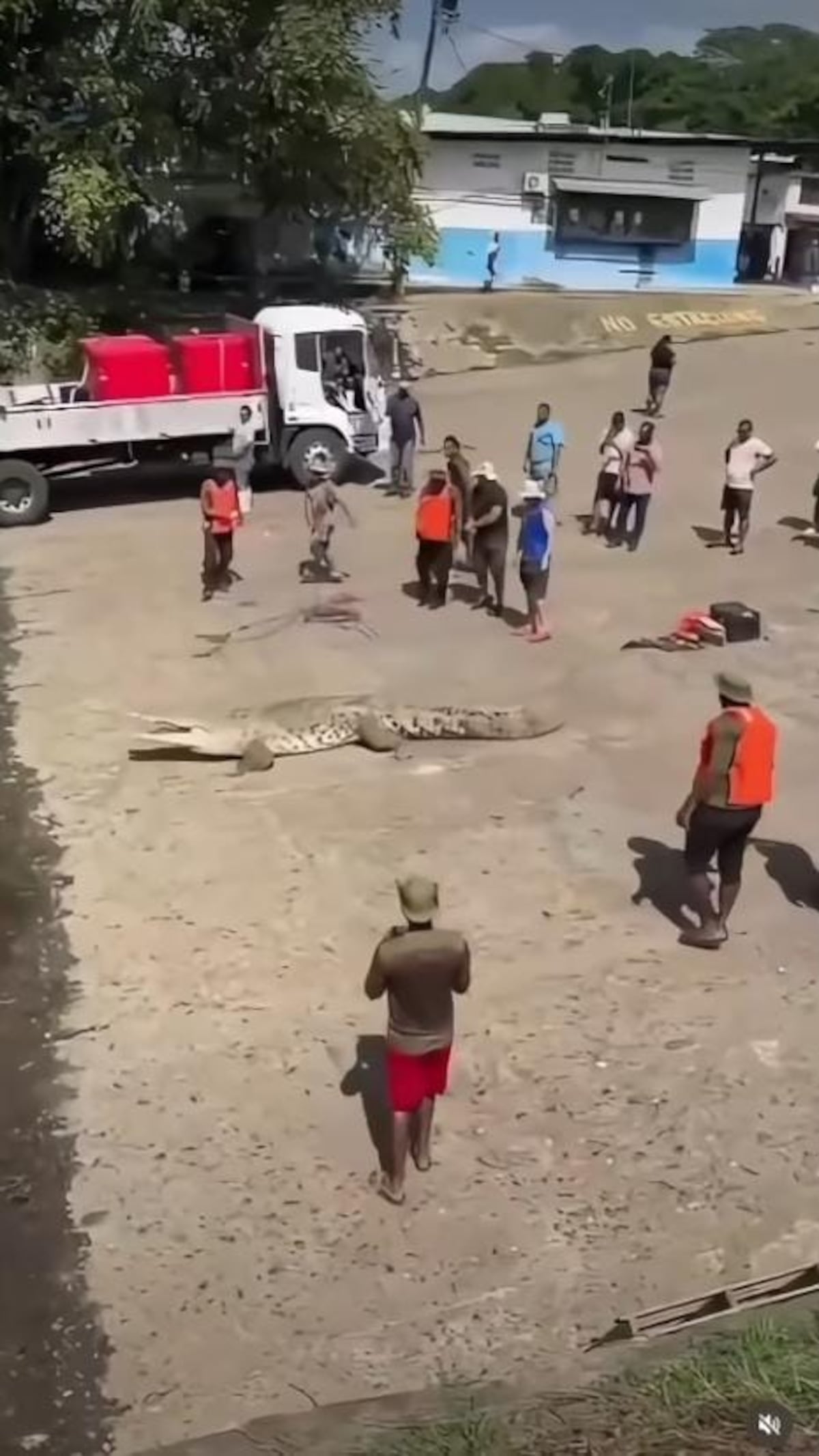 VIDEO VIRAL | ¿Godzilla en Panamá? Enorme cocodrilo causa revuelo en Puerto Coquira