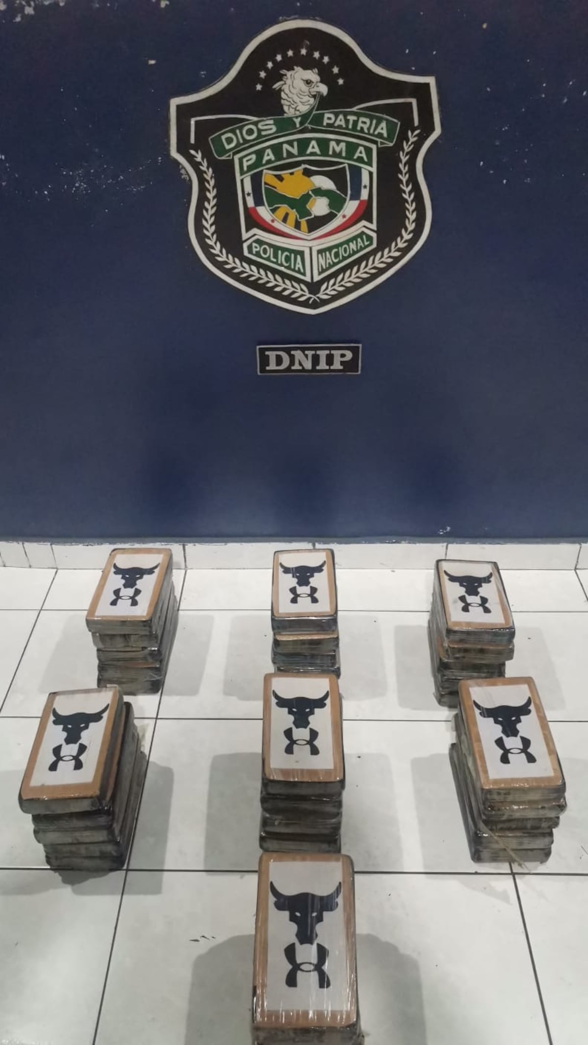 Plan Firmeza y Operación Challenger: Narcotráfico golpeado en puerto del Pacífico y en Chiriquí