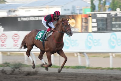 ¡Takao va por otro golpe! El campeón buscará imponer su clase en el Clásico Independencia