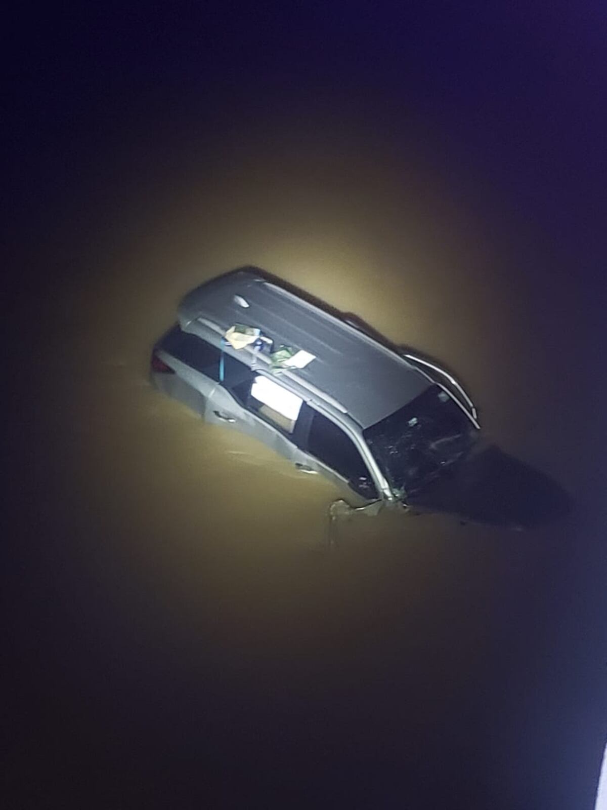 Auto choca contra baranda y cae al río a una altura de 10 metros. Rescatan a tres personas y un perro