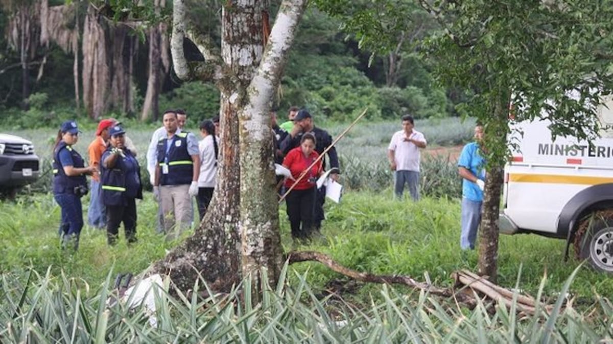 Tercer Fallecido por Rayo en Chiriquí: Agricultor Muere en su Finca