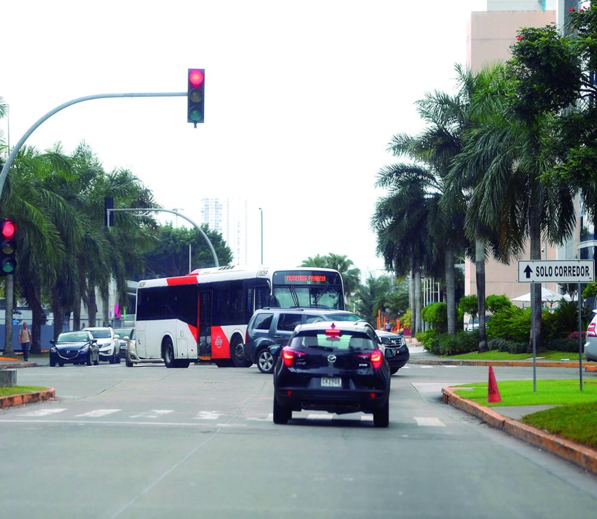 San Martín y Costa del Este, dos realidades en la misma metrópoli