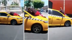 Video viral. Mujer se trepa al parabrisas de un taxi en marcha por celos. Video