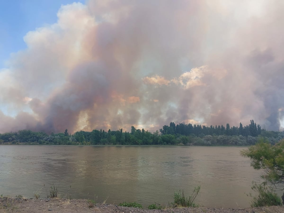 Incendios forestales arrasan más de 2 mil 100 hectáreas en la Patagonia argentina