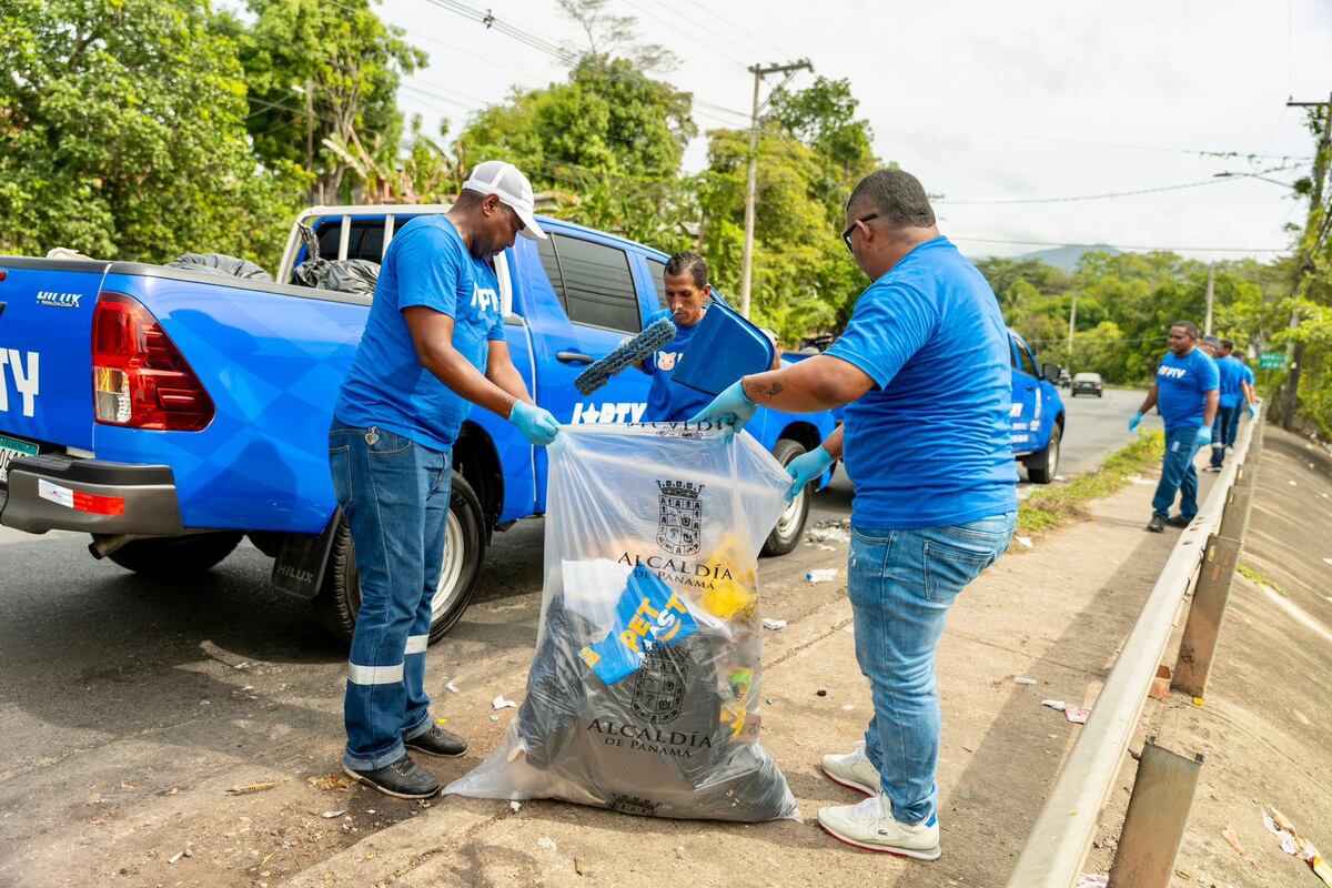 Alcaldía lanza ‘Cochinos PTY’