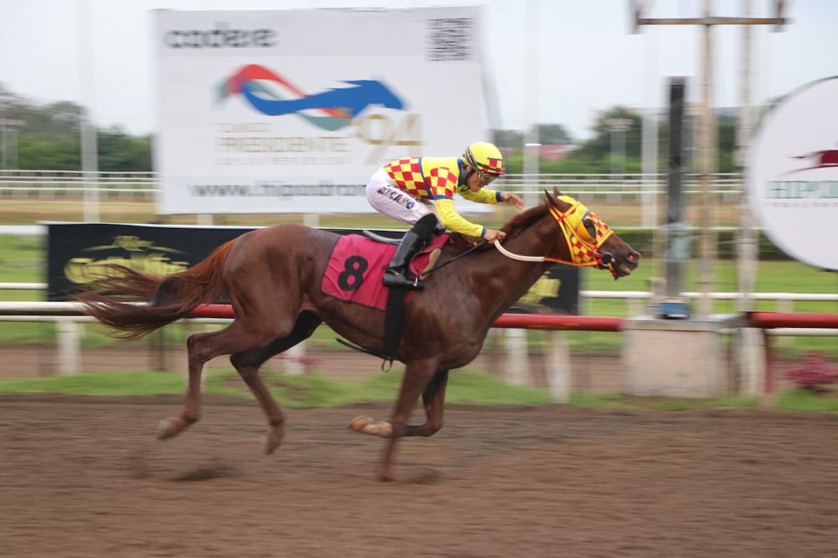 ‘El Rojo’ y ‘Eagle Love’, los cracks que marcaron época, ahora van a ser sementales