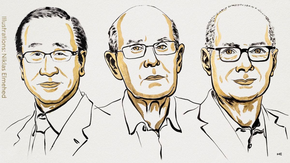 Tres científicos se llevan el Nobel de Química 2025 por crear materiales que atrapan agua y gases