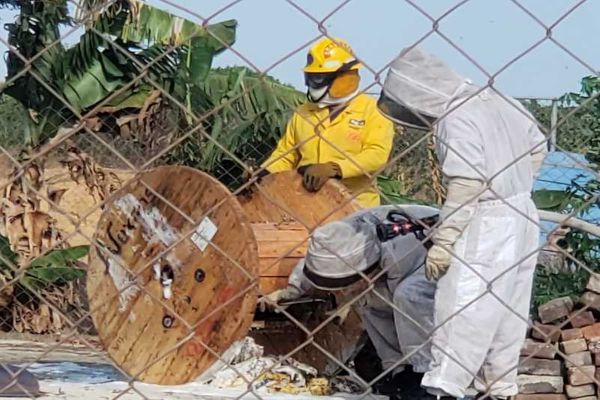 Más de 300 emergencias atienden los bomberos en los primeros días del Carnaval