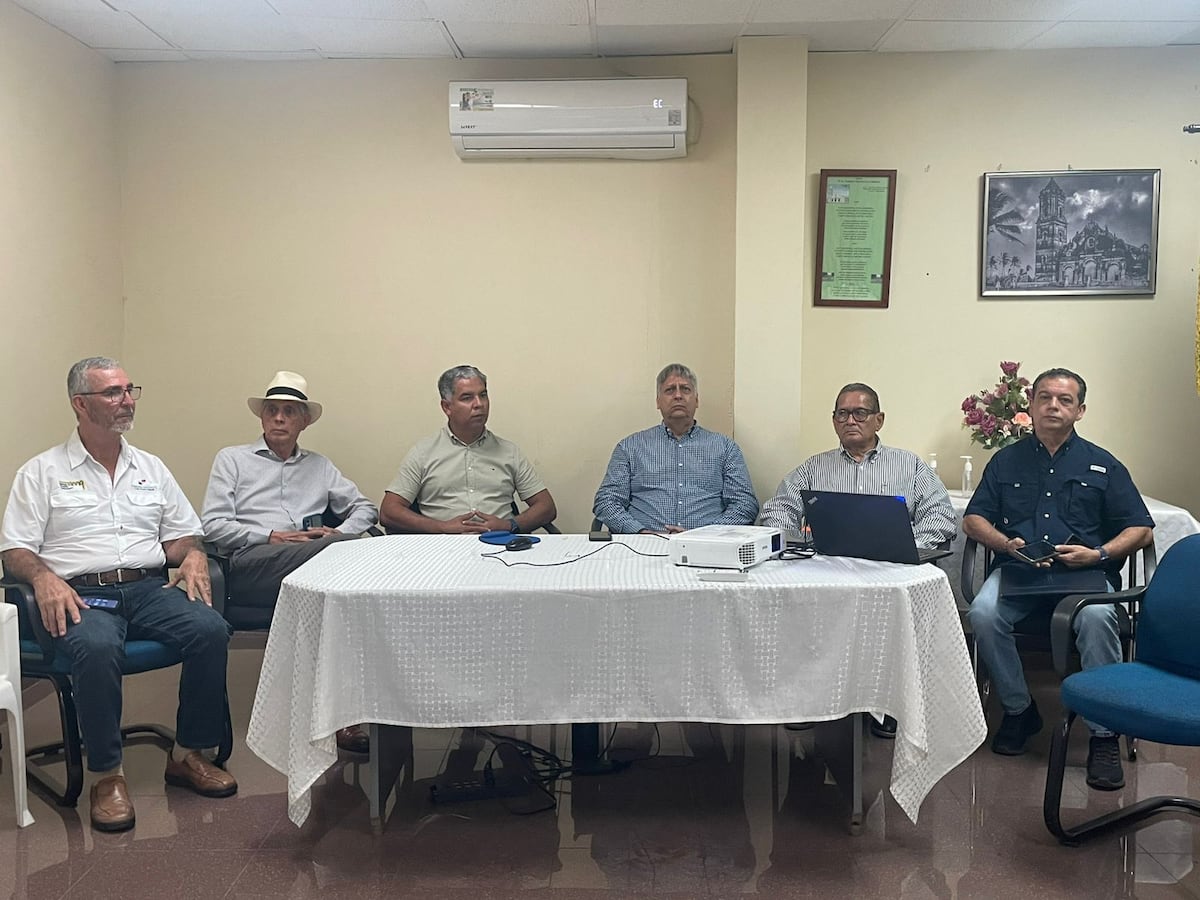 Productores de cebolla de Coclé presentan expectativas de cosecha para el ciclo agrícola