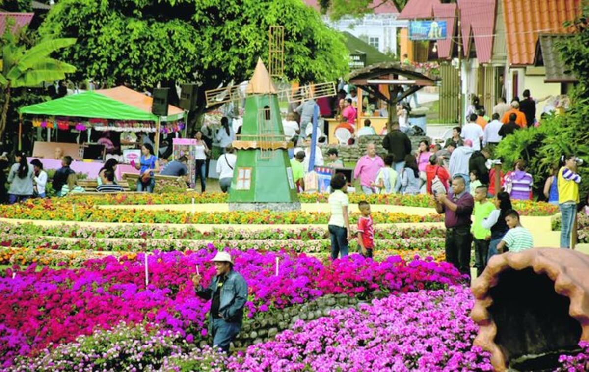 ¡VIENE EN ENERO! Feria Internacional de las Flores y el Café en Boquete