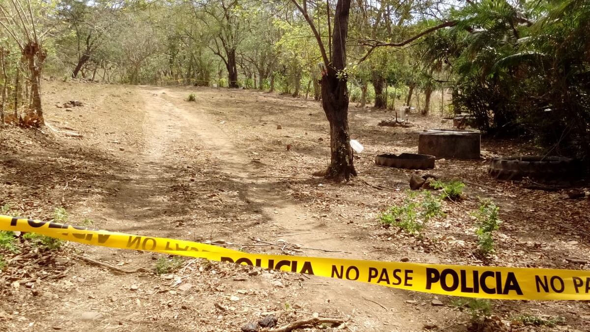 Abejas lo matan. Hombre hacía trabajos de apicultura en Natá