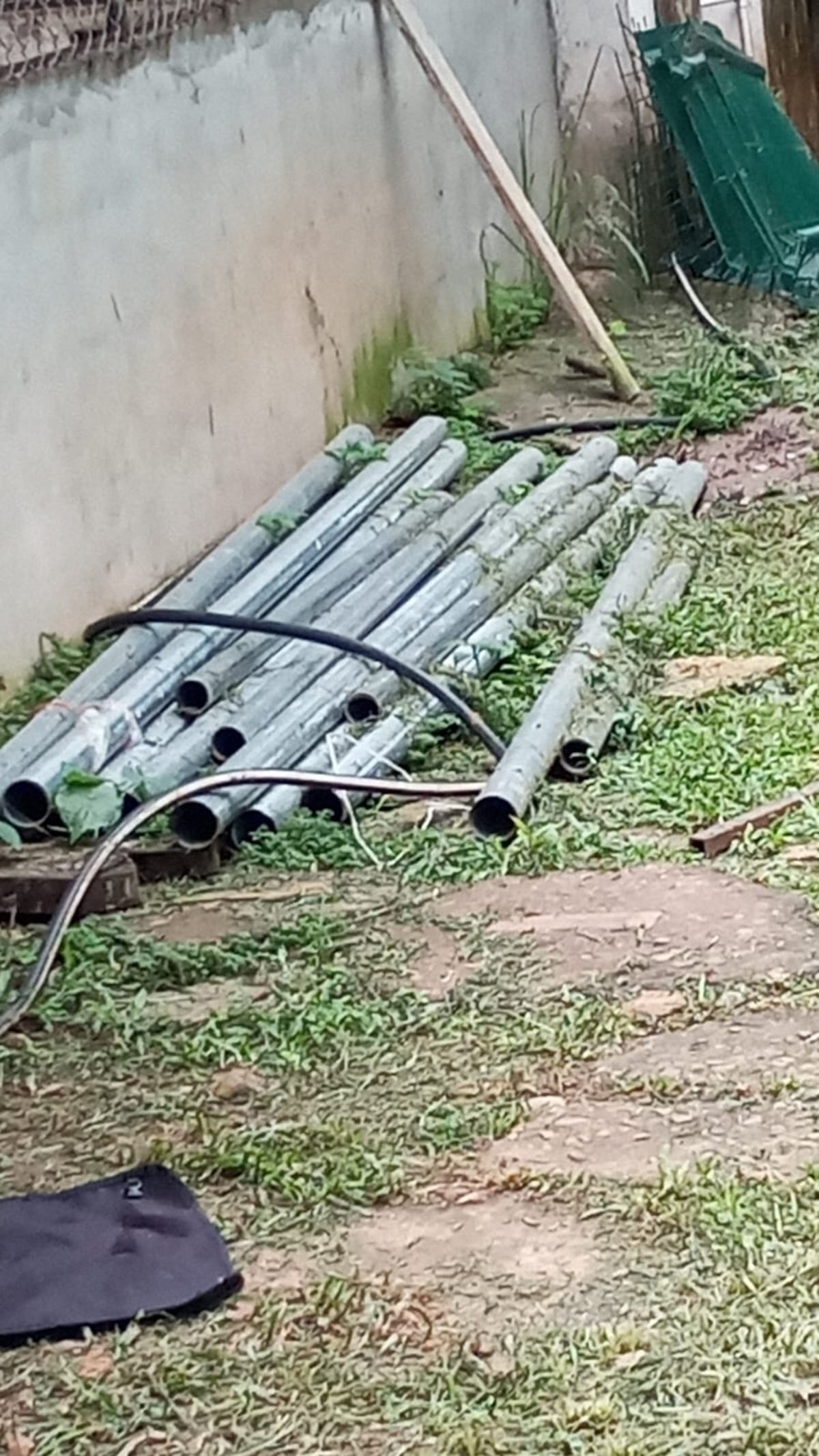 ‘No somos los malos del paseo’: Fundación se defiende tras denuncias por maltrato animal